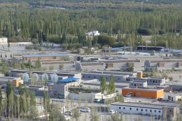 P1010556 (2)